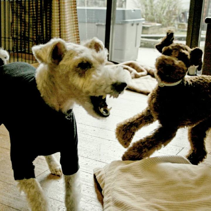 32a653d8 d4e9 4acd 8501 00bc7693a0e6