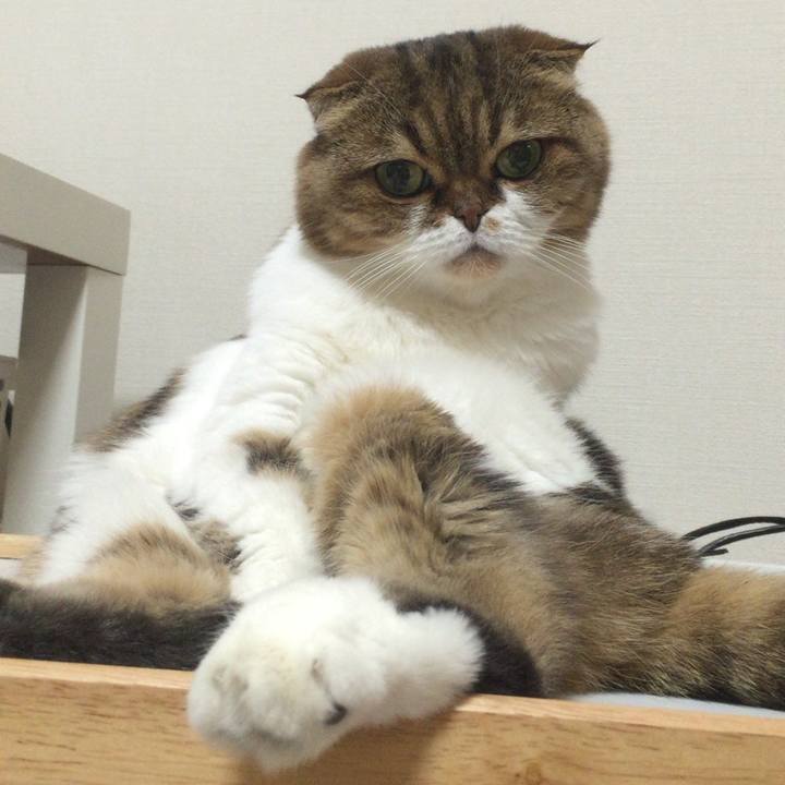 32a708c6 93e2 4f74 9152 e03e8114bfe3