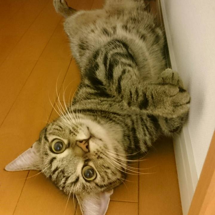 32a72434 3c12 4f85 9d41 f6657694d01d