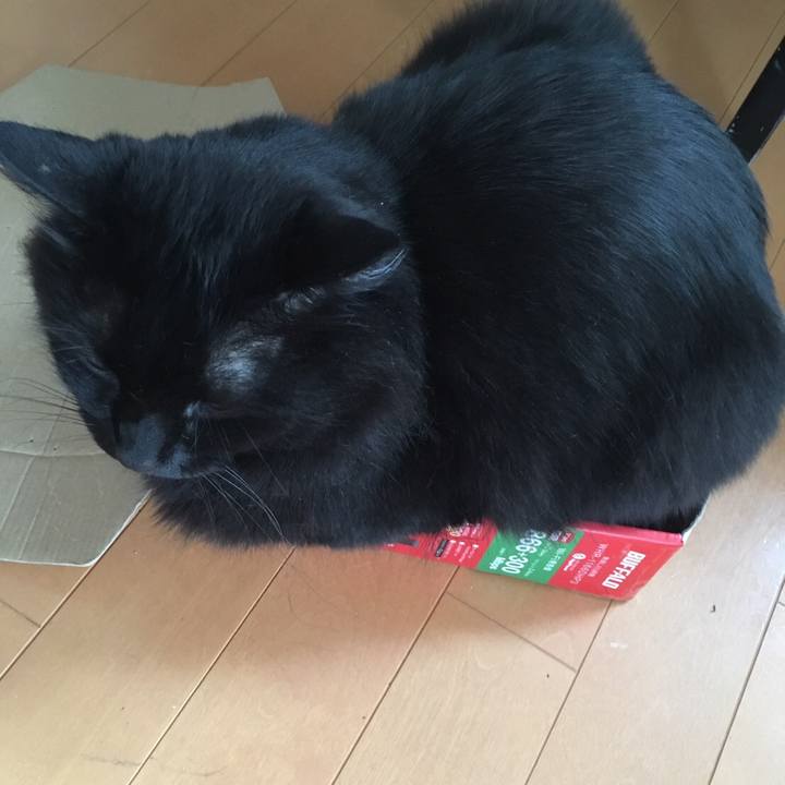 32a79119 f0bc 4efe b633 8fa8c7403c7c