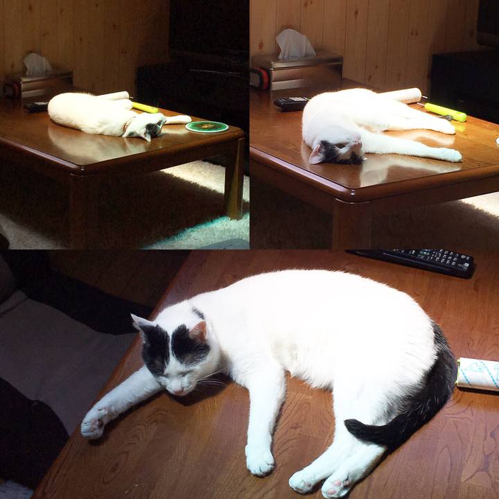 32a822a1 181c 4f37 b5b8 4a1978ce8e21