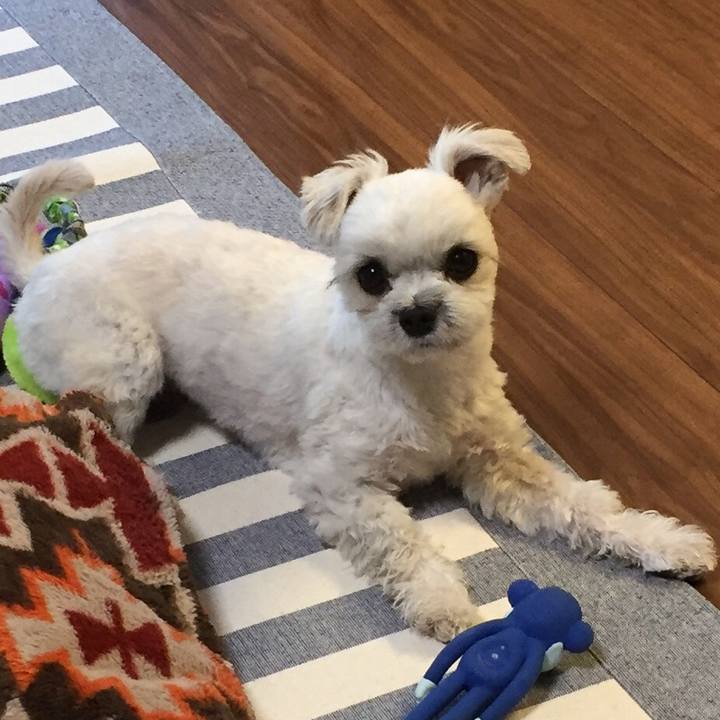 32a8a405 bd25 4e03 9985 cbce96189ac0