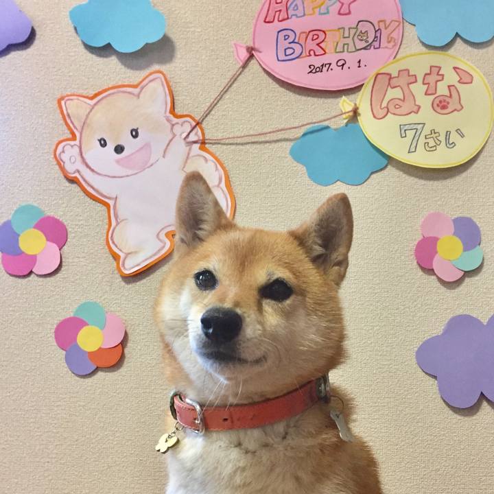 32a8bc40 a168 4877 b05c 250aa4e57da4