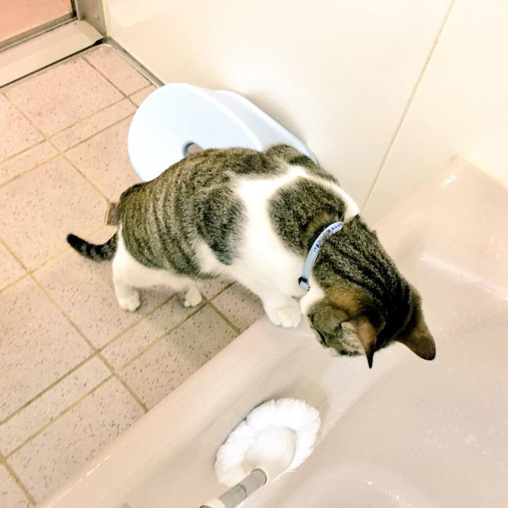 32a8f3ec d0e3 458e 9d78 67c2efda54a6