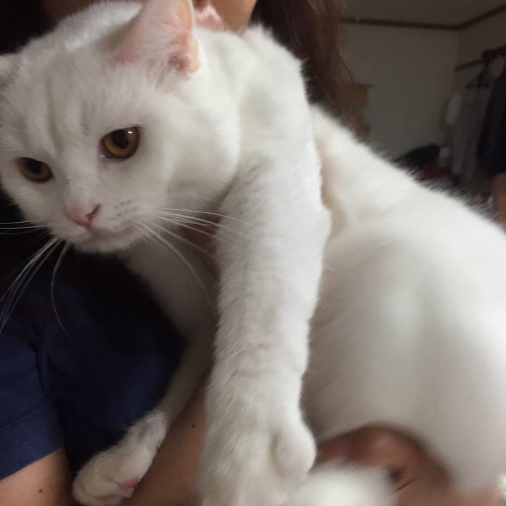 32a92315 9894 4313 882b 001f0d431f20