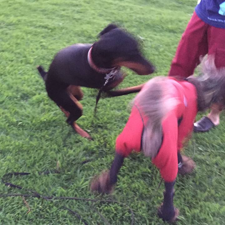 32aa217e 8e2b 402c b3b9 17ab6446ede0