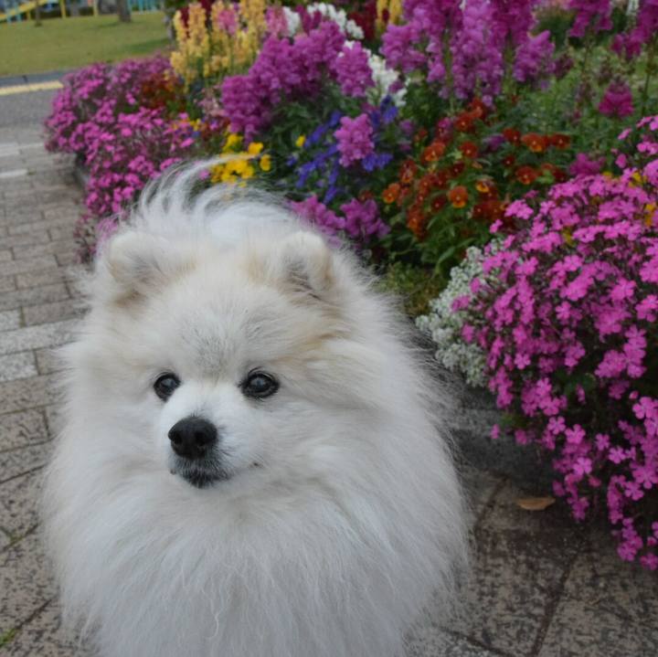 32aa7631 b154 416d b30e 952286d7eac4