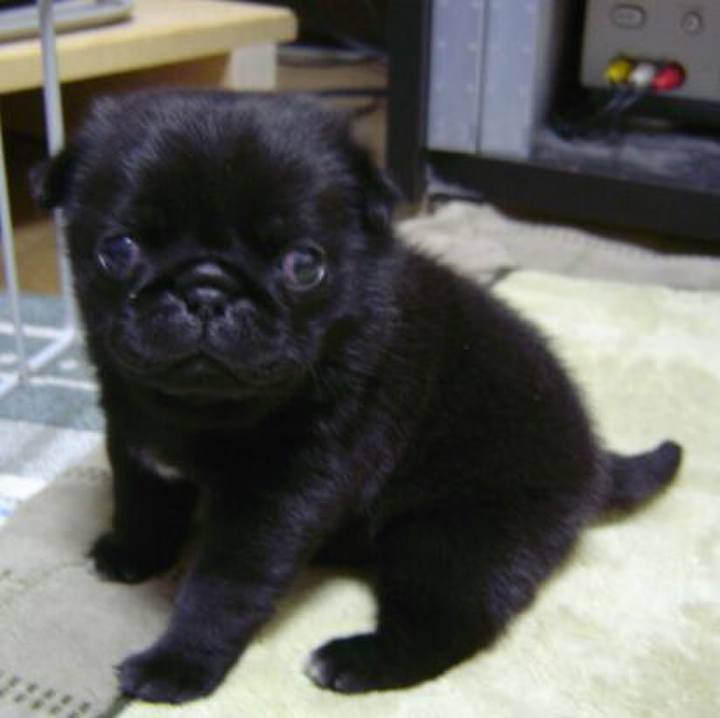 32ab0225 0c7a 4fbe b7b9 3de429682521