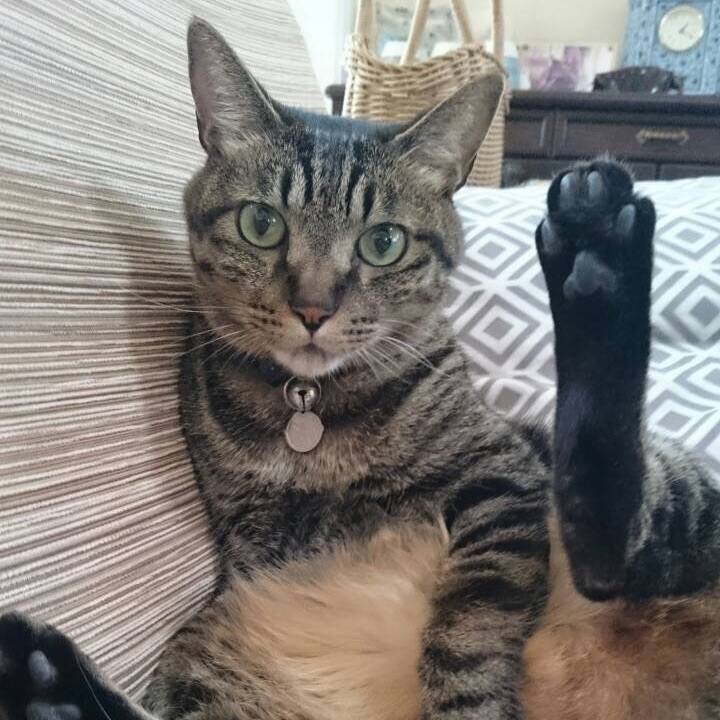 32ab2c8c 3b19 47d5 b405 ac611de48261