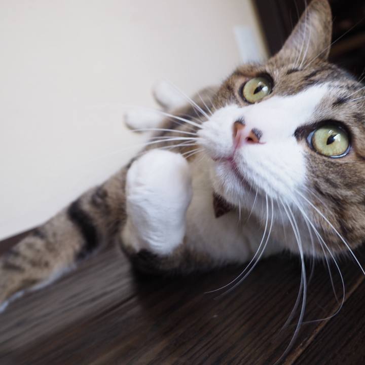 32ab3baf 649e 4c8f b1a6 28711d5151fc