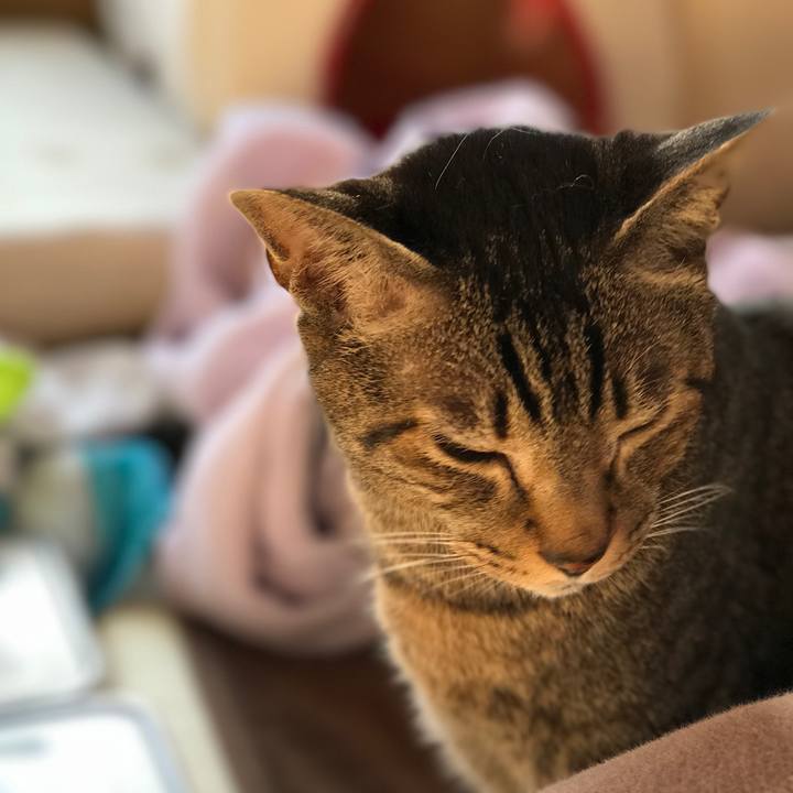 32abf498 a242 44de a041 8b852051562c