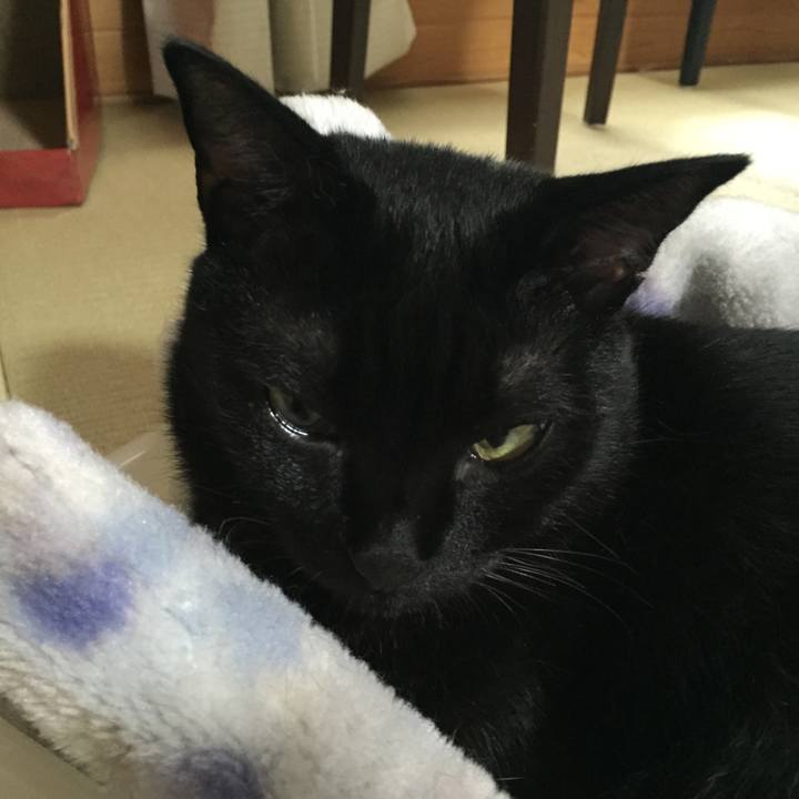 32abf83d 7755 4ceb 9b28 a76635533240