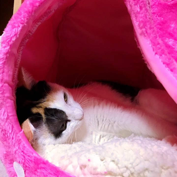 32ac1d99 0ada 4c02 bbb9 e1174a4b6738