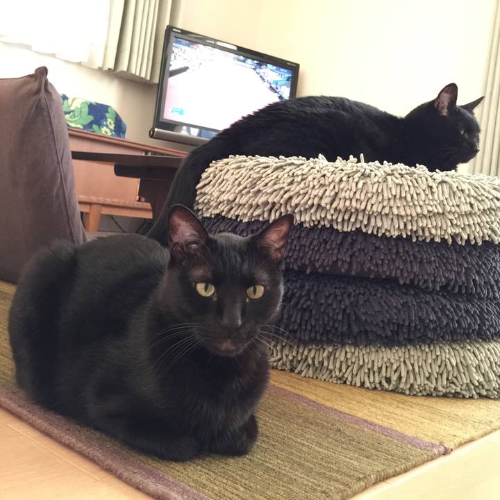 32ac43dc a9cf 4a4b 8471 c0fae9912e78