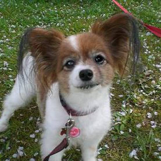 32ac9392 b65a 495a b2bc acc4e851d328