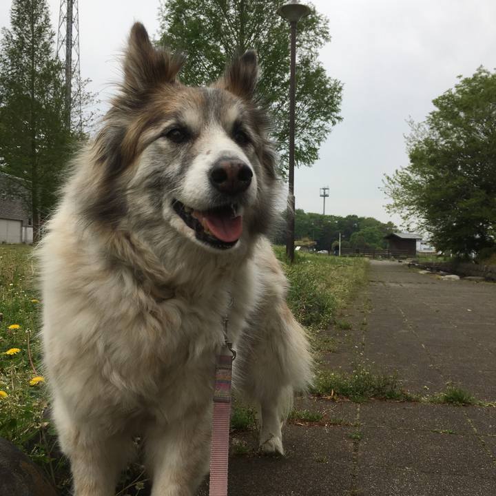 32ad1096 de77 40ab 83a4 acd64d9ffb9e