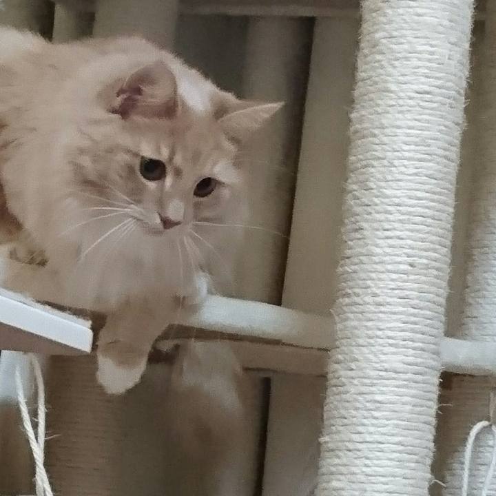 32adde04 e81c 4a14 8102 a3cc32567486