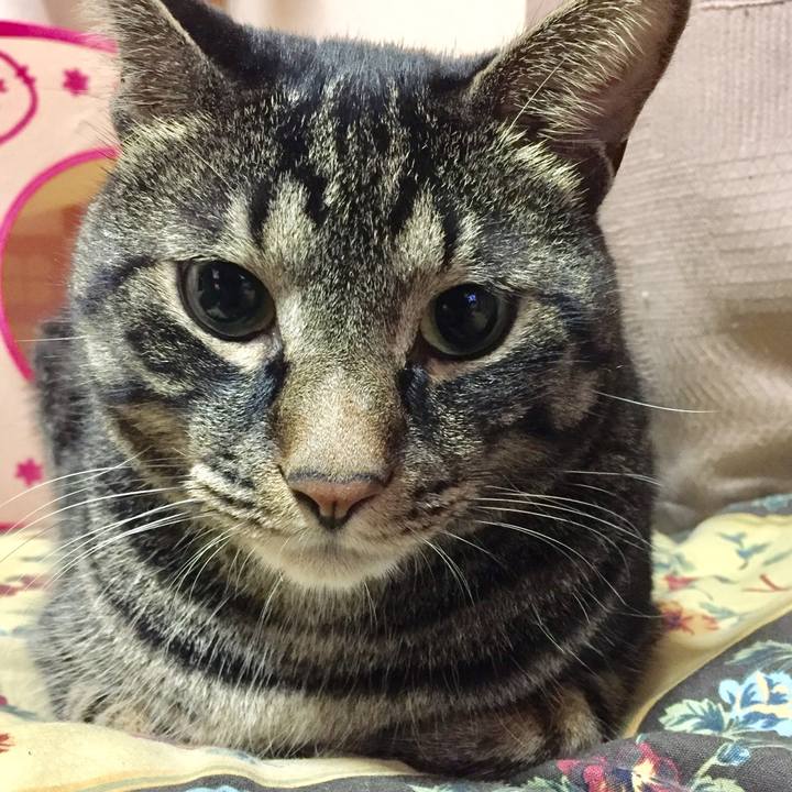 32adf170 1c6c 44dd 91e9 fa9cde7aa4c0