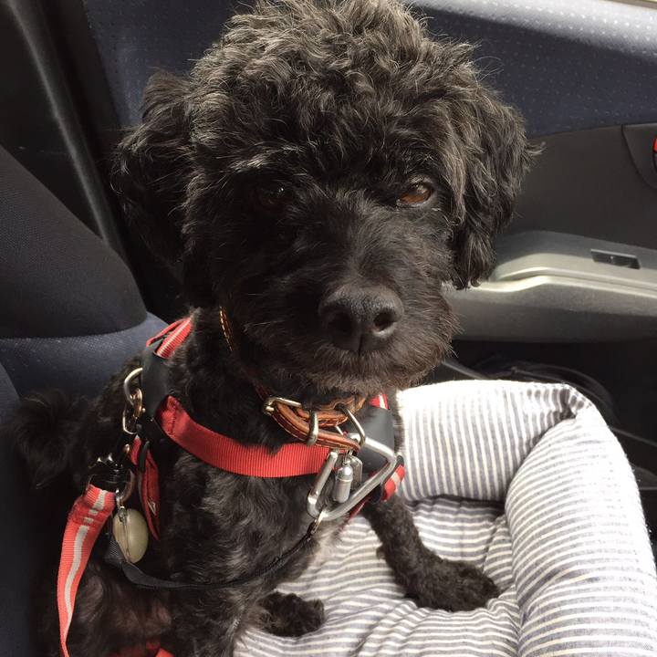 32ae2db3 9969 4bf5 87ac a7df96734ade