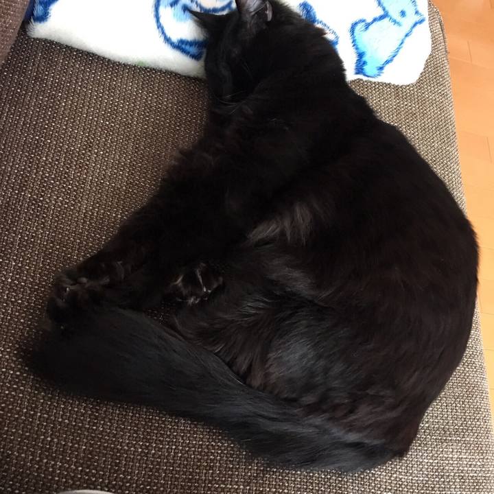 32ae5cf3 8cad 4f4d acab c8998a44a00b