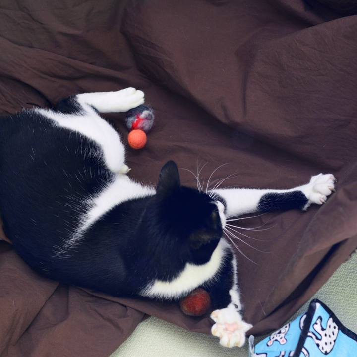 32ae8880 758e 4b9d a625 0cddc86139dc