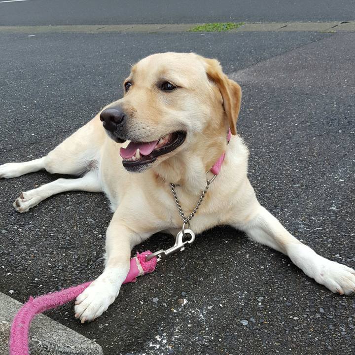 32aeb8e0 2565 472c 8b7c 97eafb76ac5d