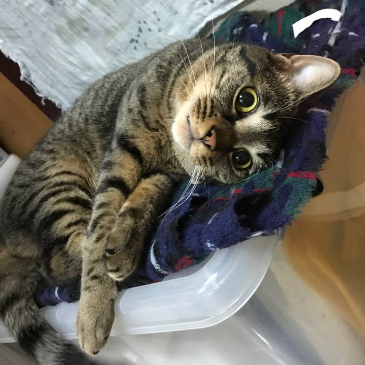 32aeece1 a26a 468c 9b0f dec8aa4d2df6