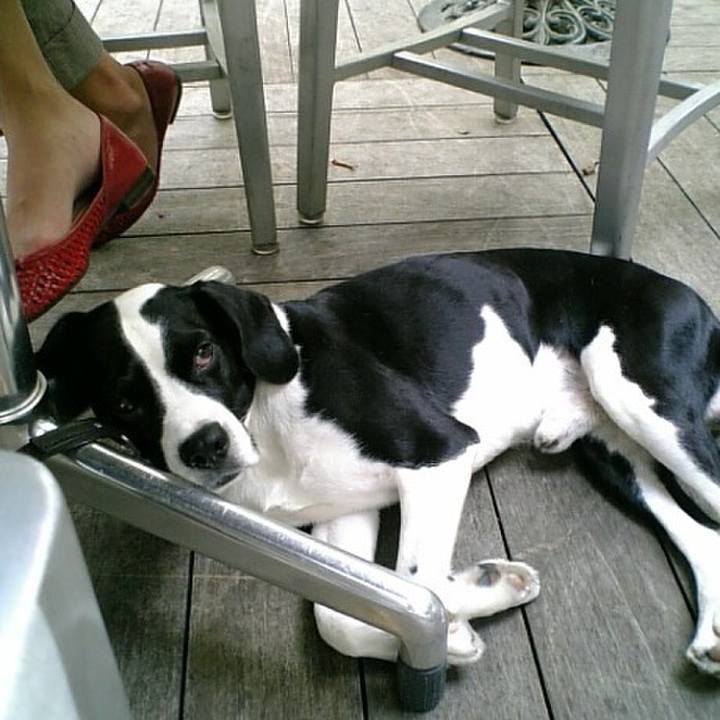 32af0fa4 3686 47af b6ec 3f9d0cce43ab