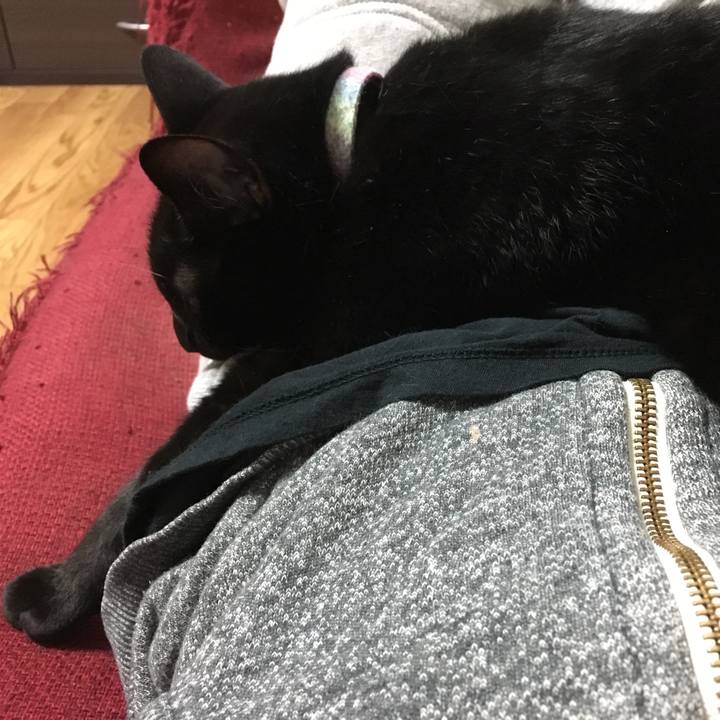 32af96fd d82a 480a 90b2 4c036107673c