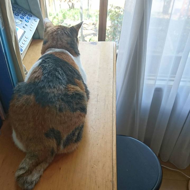 32affdb2 b3ae 4886 89f8 12321671487e