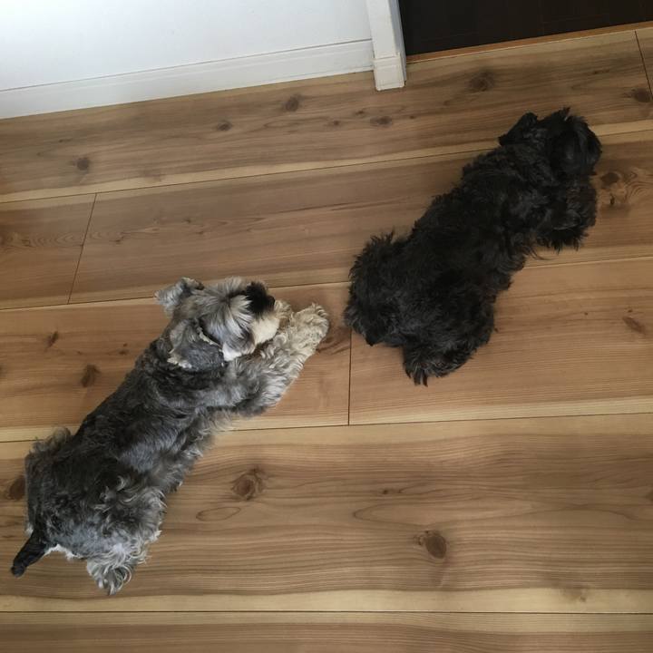 32b0e5e7 cf7e 45fa 92fe 4c259641716f