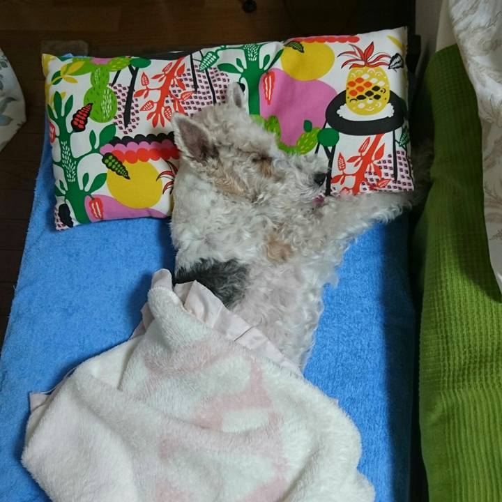 32b14562 30e3 42d7 9767 2f455789f5c9