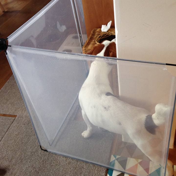 32b20380 9c3c 4f53 99d7 afec96d55ed1