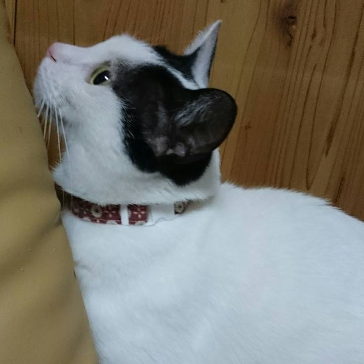 32b21f0c 1687 46d2 9971 0c08ccbb2979