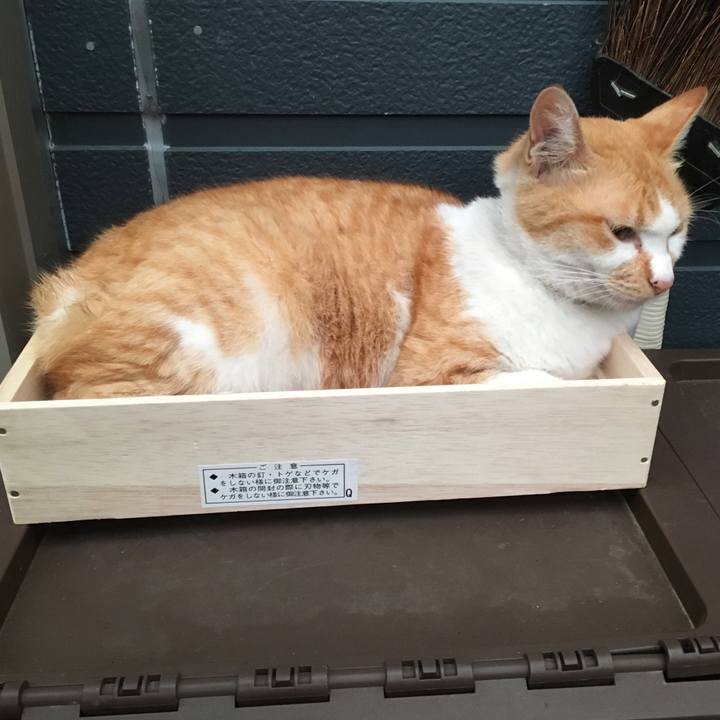 32b249db da17 4588 9313 ff95cc854a02