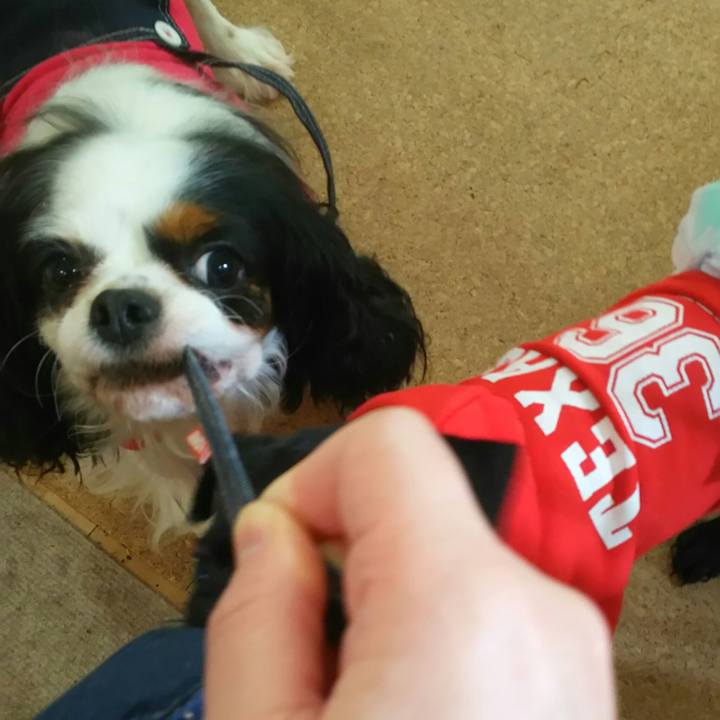 32b29536 0c96 4b00 b43a 2d944170afb1