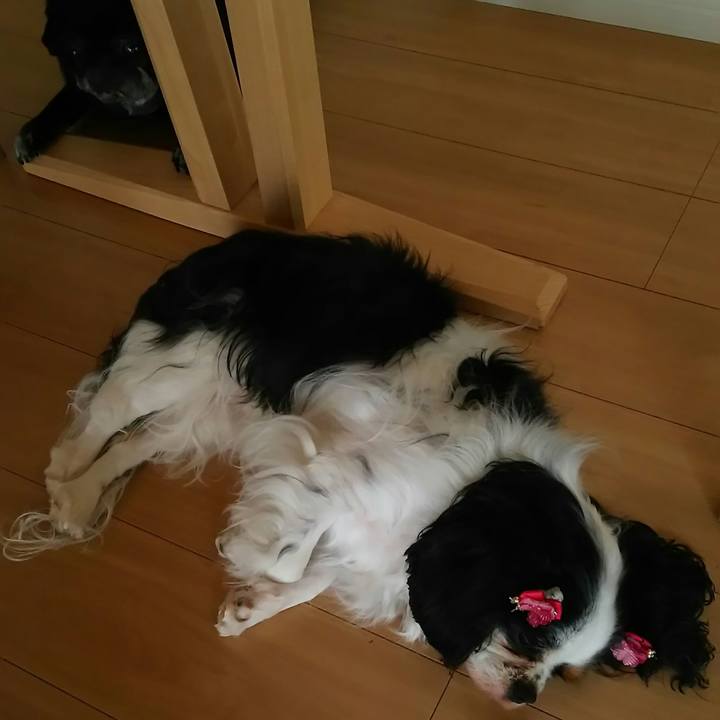 32b2bcd5 5f49 4e00 84fa 1ff3af0b5593