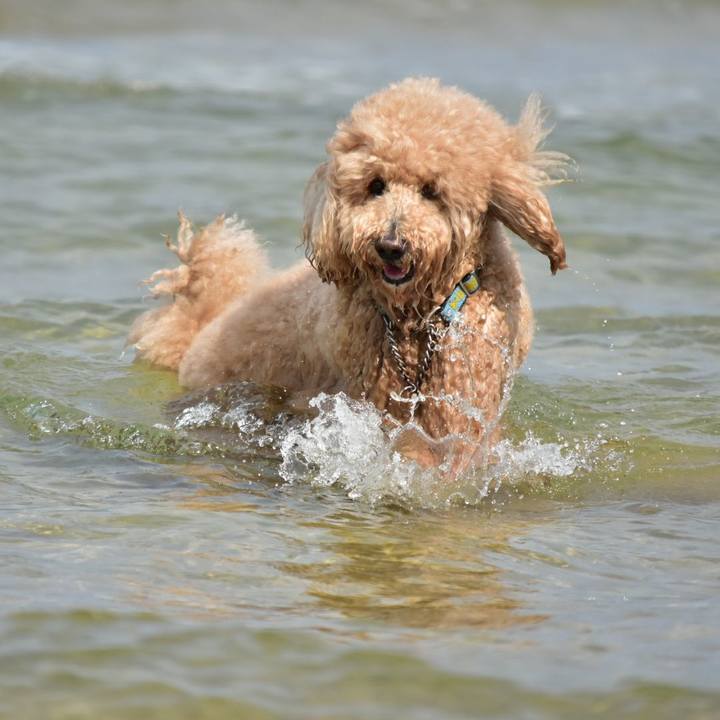 32b2df08 8bb2 414d b273 2d5de633215f