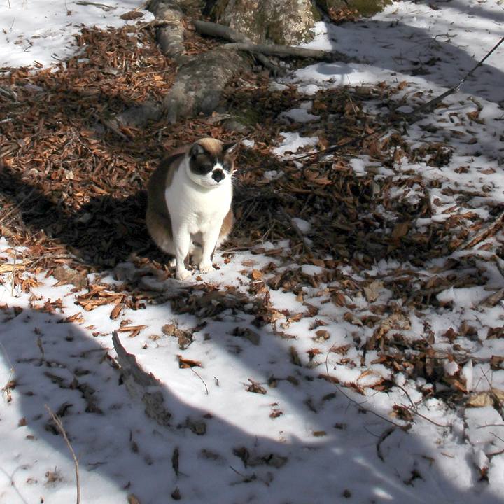 32b37e65 16bd 4801 80f0 78bd301a05e9