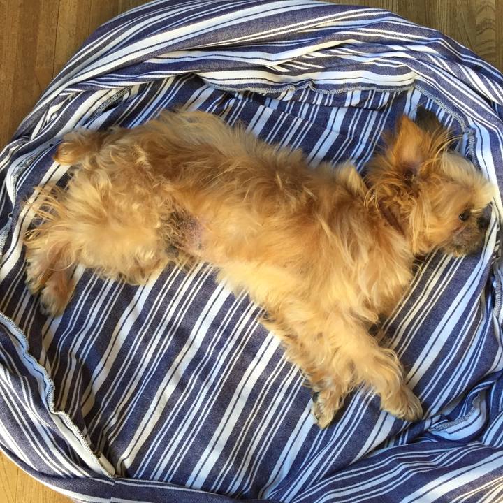 32b3a581 ace4 4ff4 9bbf f50b607e9a65