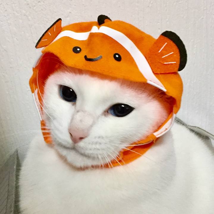 32b44caf 7d9e 4588 a641 834e91321d17