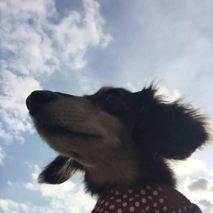 32b48357 b8ca 44e5 8719 ee1a9be7ae95