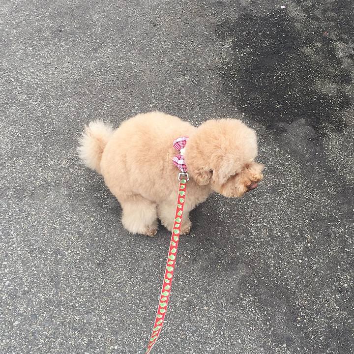 32b4c59d 865d 4671 96e3 273b423bc096