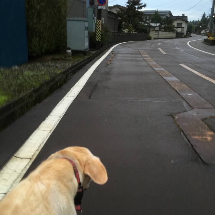 32b51c05 f3f8 41e3 90db efde0262829d