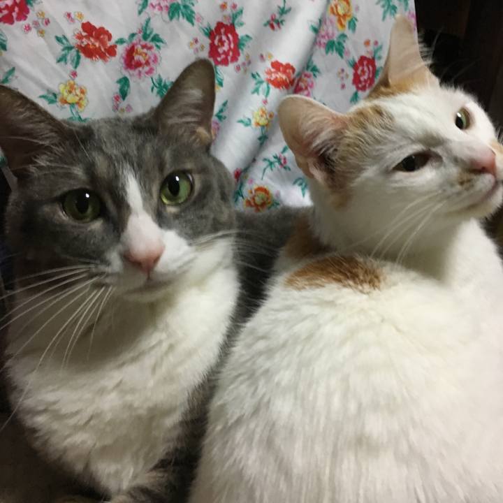 32b594fe d9fc 4985 b077 9d91056aa90b