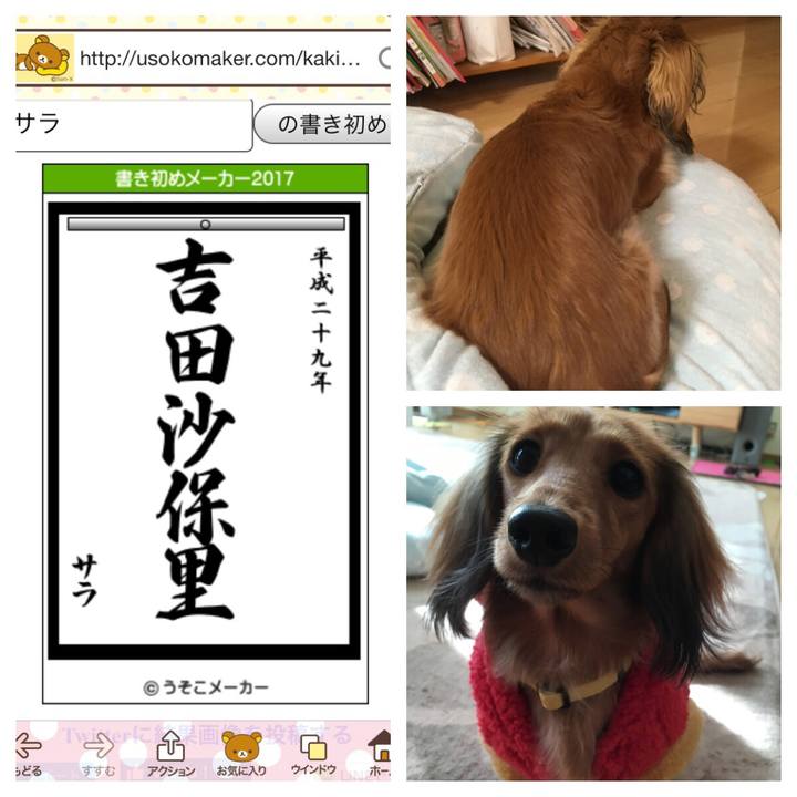 32b5c634 8a0b 40c6 a651 a5a935aa5a43