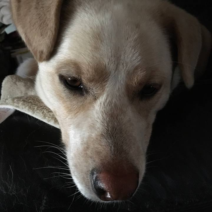 32b61ad1 d450 4ccc 95a5 af9ef81bde9f