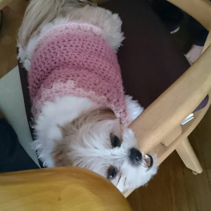 32b62e2f 31a9 4cad 9b03 bbed6aefac35