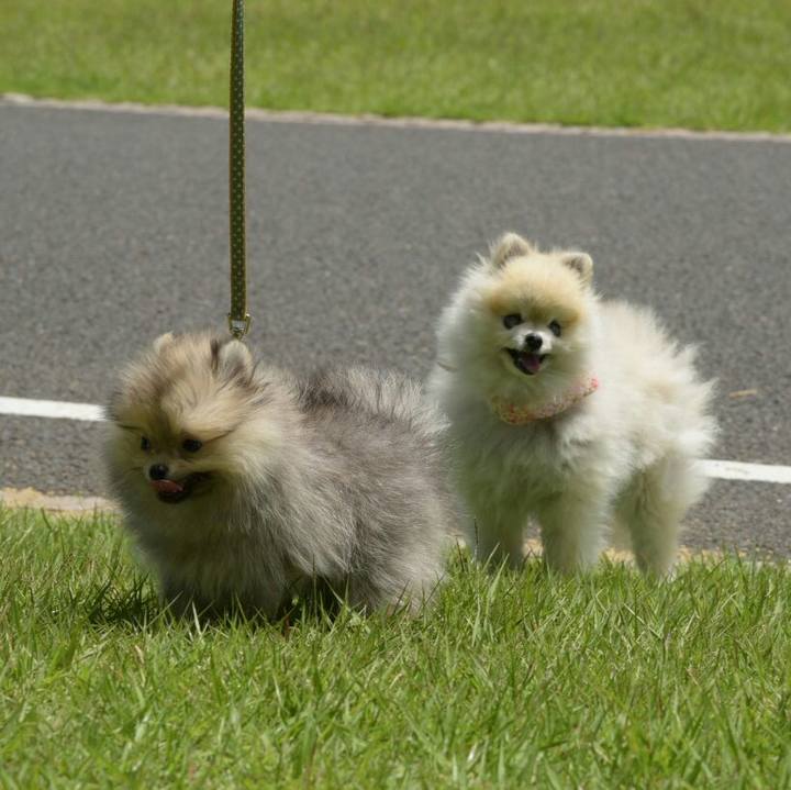 32b69d76 5dae 4cf7 b0f0 309de92e4a7d