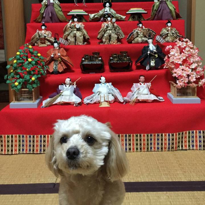 32b6e8f7 899d 4427 91a1 b90de3a23480